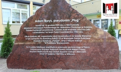 (link otworzy duże zdjęcie)