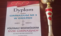 Finał Mistrzostw Wielkopolski w piłce ręcznej dziewcząt (link otworzy duże zdjęcie)