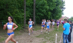 Mistrzostwa Województwa w Biegach Przełajowych (link otworzy duże zdjęcie)