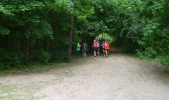 Mistrzostwa Województwa w Biegach Przełajowych (link otworzy duże zdjęcie)