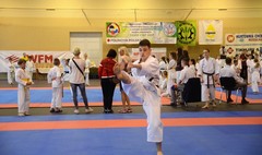 Ogólnopolski Turniej Karate Olimpijskiego Tiger Cup w Wągrowcu (link otworzy duże zdjęcie)
