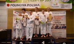 Ogólnopolski Turniej Karate Olimpijskiego Tiger Cup w Wągrowcu (link otworzy duże zdjęcie)