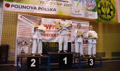 Ogólnopolski Turniej Karate Olimpijskiego Tiger Cup w Wągrowcu (link otworzy duże zdjęcie)