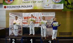 Ogólnopolski Turniej Karate Olimpijskiego Tiger Cup w Wągrowcu (link otworzy duże zdjęcie)
