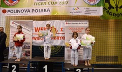 Ogólnopolski Turniej Karate Olimpijskiego Tiger Cup w Wągrowcu (link otworzy duże zdjęcie)