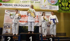 Ogólnopolski Turniej Karate Olimpijskiego Tiger Cup w Wągrowcu (link otworzy duże zdjęcie)