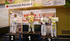 Ogólnopolski Turniej Karate Olimpijskiego Tiger Cup w Wągrowcu (link otworzy duże zdjęcie)