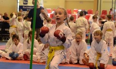 Ogólnopolski Turniej Karate Olimpijskiego Tiger Cup w Wągrowcu (link otworzy duże zdjęcie)