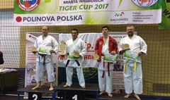 Ogólnopolski Turniej Karate Olimpijskiego Tiger Cup w Wągrowcu (link otworzy duże zdjęcie)