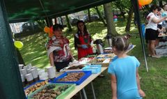 (link otworzy duże zdjęcie)