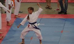 XVII Ogólnopolski Puchar Dzieci w Karate Tradycyjnym (link otworzy duże zdjęcie)