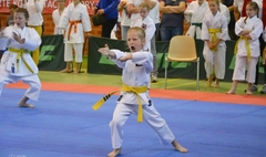 Mistrzostwa Szkół Województwa Wielkopolskiego w Karate Olimpijskim (link otworzy duże zdjęcie)