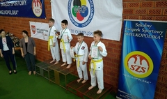 Mistrzostwa Szkół Województwa Wielkopolskiego w Karate Olimpijskim (link otworzy duże zdjęcie)