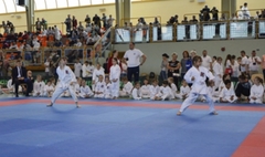 Mistrzostwa Szkół Województwa Wielkopolskiego w Karate Olimpijskim (link otworzy duże zdjęcie)