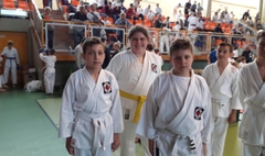 Mistrzostwa Szkół Województwa Wielkopolskiego w Karate Olimpijskim