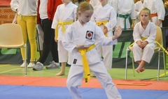 Mistrzostwa Szkół Województwa Wielkopolskiego w Karate Olimpijskim (link otworzy duże zdjęcie)