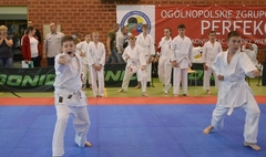 Mistrzostwa Szkół Województwa Wielkopolskiego w Karate Olimpijskim (link otworzy duże zdjęcie)