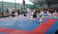 Świetne wyniki gnieźnieńskich karateków (link otworzy duże zdjęcie)