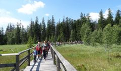 Terapeutyczny wypoczynek w polskich górach (link otworzy duże zdjęcie)