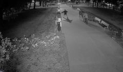 Zero tolerancji dla wykroczeń w parkach (link otworzy duże zdjęcie)