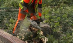 (link otworzy duże zdjęcie)