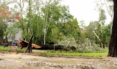 (link otworzy duże zdjęcie)