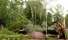 (link otworzy duże zdjęcie)