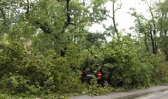 (link otworzy duże zdjęcie)