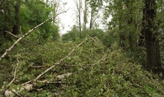 (link otworzy duże zdjęcie)