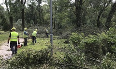 Zdjęcie sprzątanego po nawałnicy Parku Miejskiego (link otworzy duże zdjęcie)