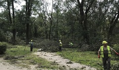 Zdjęcie sprzątanego po nawałnicy Parku Miejskiego (link otworzy duże zdjęcie)