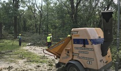 Zdjęcie sprzątanego po nawałnicy Parku Miejskiego (link otworzy duże zdjęcie)