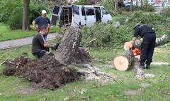 Zdjęcie sprzątanego po nawałnicy skweru im. Miasta Speyer (link otworzy duże zdjęcie)