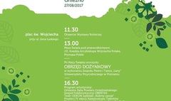 (link otworzy duże zdjęcie)