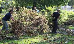 (link otworzy duże zdjęcie)