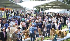 Rolnicy podziękowali za obfite plony (link otworzy duże zdjęcie)