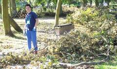 (link otworzy duże zdjęcie)