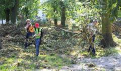 (link otworzy duże zdjęcie)