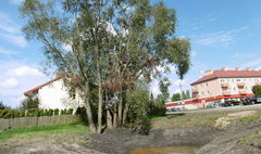 (link otworzy duże zdjęcie)