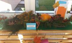 Konkurs plastyczny „Dary jesieni” (link otworzy duże zdjęcie)