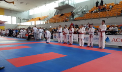 XV Mistrzostwa Wielkopolski w Karate (link otworzy duże zdjęcie)