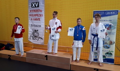 XV Mistrzostwa Wielkopolski w Karate (link otworzy duże zdjęcie)