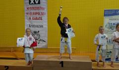 XV Mistrzostwa Wielkopolski w Karate (link otworzy duże zdjęcie)