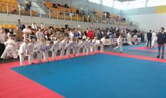 XV Mistrzostwa Wielkopolski w Karate (link otworzy duże zdjęcie)