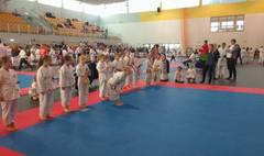 XV Mistrzostwa Wielkopolski w Karate (link otworzy duże zdjęcie)