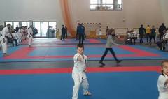 XV Mistrzostwa Wielkopolski w Karate (link otworzy duże zdjęcie)