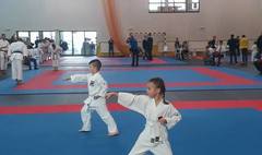 XV Mistrzostwa Wielkopolski w Karate (link otworzy duże zdjęcie)