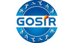 Logo GOSiR