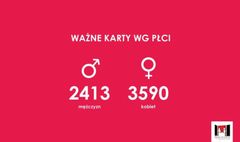 (link otworzy duże zdjęcie)