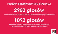 (link otworzy duże zdjęcie)